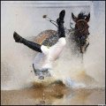 Мемы фотоприколы прикольные картинки 1471877082_0157.jpg