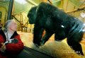 Мемы фотоприколы прикольные картинки 1471877089_0188.jpg