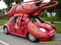 Мемы фотоприколы прикольные картинки 1471877091_0023.jpg
