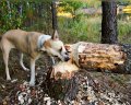 Мемы фотоприколы прикольные картинки 1471877095_0214.jpg