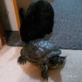 Мемы фотоприколы прикольные картинки 1471877102_0210.jpg