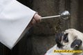 Мемы фотоприколы прикольные картинки 1471877109_0013.jpg