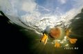 Мемы фотоприколы прикольные картинки 1471877111_0226.jpg