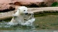 Мемы фотоприколы прикольные картинки 1471877116_0110.jpg