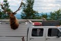 Мемы фотоприколы прикольные картинки 1471877135_0410.jpg
