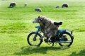 Мемы фотоприколы прикольные картинки 1471877141_0548.jpg