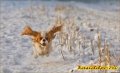 Мемы фотоприколы прикольные картинки 1471877146_0033.jpg