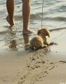 Мемы фотоприколы прикольные картинки 1471877152_0123.jpg