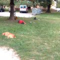 Мемы фотоприколы прикольные картинки 1471877166_0221.jpg