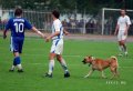 Мемы фотоприколы прикольные картинки 1471877177_0211.jpg