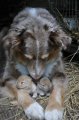 Мемы фотоприколы прикольные картинки 1471877192_0771.jpg