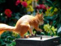 Мемы фотоприколы прикольные картинки 1471877197_0405.jpg