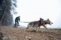 Мемы фотоприколы прикольные картинки 1471877197_0689.jpg