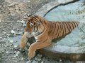 Мемы фотоприколы прикольные картинки 1471877213_0980.jpg