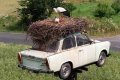 Мемы фотоприколы прикольные картинки 1471877215_0583.jpg