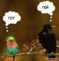 Мемы фотоприколы прикольные картинки 1471877224_0936.jpg