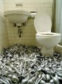 Мемы фотоприколы прикольные картинки 1471877227_0568.jpg