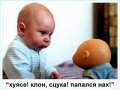 Мемы фотоприколы прикольные картинки 1471877232_0640.jpg