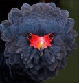 Мемы фотоприколы прикольные картинки 1471877233_1019.jpg