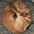 Мемы фотоприколы прикольные картинки 1471877269_1073.jpg