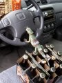 Мемы фотоприколы прикольные картинки 1471877283_1098.jpg