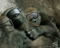Мемы фотоприколы прикольные картинки 1471877299_0971.jpg