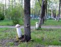 Мемы фотоприколы прикольные картинки 1471877301_1290.jpg