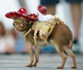 Мемы фотоприколы прикольные картинки 1471877320_1114.jpg