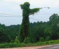 Мемы фотоприколы прикольные картинки 1471877330_1215.jpg