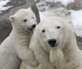 Мемы фотоприколы прикольные картинки 1471877340_1192.jpg