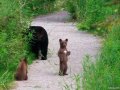 Мемы фотоприколы прикольные картинки 1471877347_1270.jpg