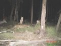 Мемы фотоприколы прикольные картинки 1471877351_1191.jpg