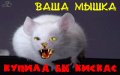 Мемы фотоприколы прикольные картинки 1471877371_1346.jpg