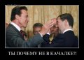 Мемы, демотиваторы, картинки с надписями 1472232411_48.jpg