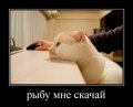 Мемы, демотиваторы, картинки с надписями 1472232434_04.jpg