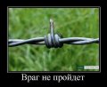 Мемы, демотиваторы, картинки с надписями 1472232493_35.jpg