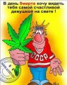 Мемы, Комиксы картинки, карикатура смешная 1472234168_040.jpg