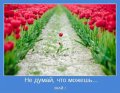 Мемы, добрые картинки, позитивные, прикольные, мотиваторы 1502210260_436.jpg