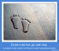 Мемы, добрые картинки, позитивные, прикольные, мотиваторы 1502210271_356.png