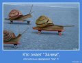 Мемы, добрые картинки, позитивные, прикольные, мотиваторы 1502210281_387.jpg