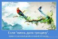 Мемы, добрые картинки, позитивные, прикольные, мотиваторы 1502210313_383.jpg