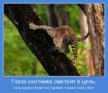 Мемы, добрые картинки, позитивные, прикольные, мотиваторы 1502210314_363.jpg