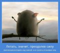 Мемы, добрые картинки, позитивные, прикольные, мотиваторы 1502210314_420.jpg