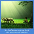 Мемы, добрые картинки, позитивные, прикольные, мотиваторы 1502210323_398.jpg