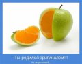 Мемы, добрые картинки, позитивные, прикольные, мотиваторы 1502210325_438.jpg