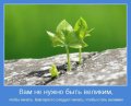Мемы, добрые картинки, позитивные, прикольные, мотиваторы 1502210330_373.jpg