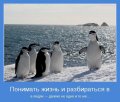 Мемы, добрые картинки, позитивные, прикольные, мотиваторы 1502210333_427.jpg