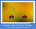 Мемы, добрые картинки, позитивные, прикольные, мотиваторы 1502210341_435.jpg