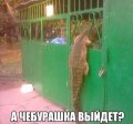 Прикольные картинки, новая подборка мемов 1522923858_prikolnie-kartinki-079.jpg