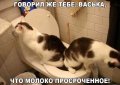 Прикольные картинки, новая подборка мемов 1522923927_prikolnie-kartinki-013.jpg